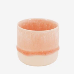 Sip Cup Salmon Stream