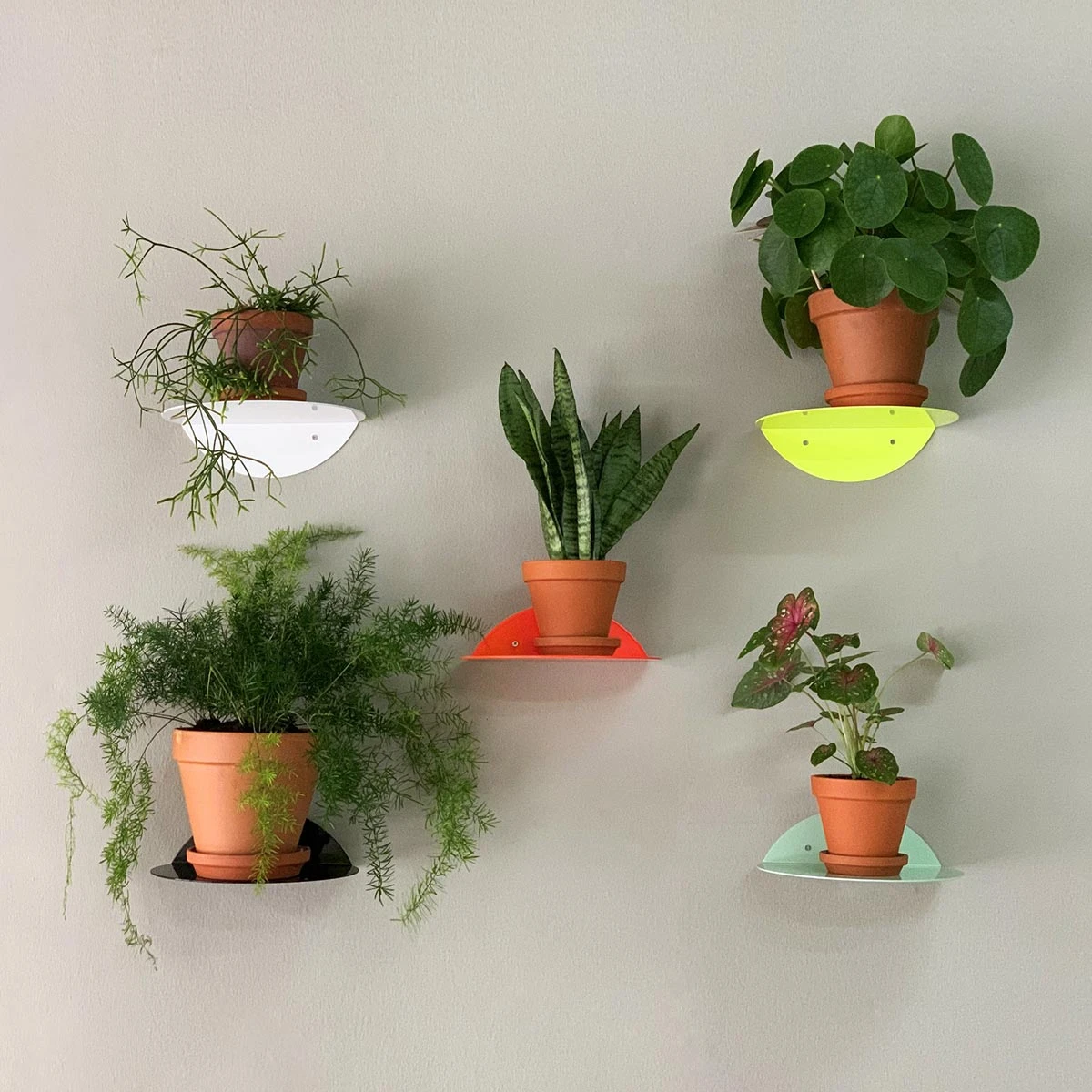 KOLOR Wandregal Dot Shelf - Neon Yellow – Bild 2