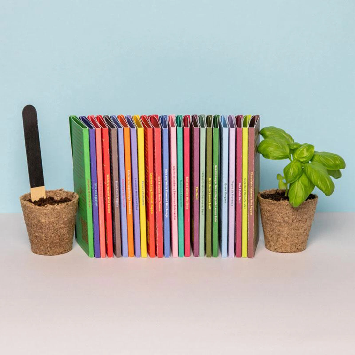 Wildfire Wasabi Wild Rocket - Samen – Bild 2