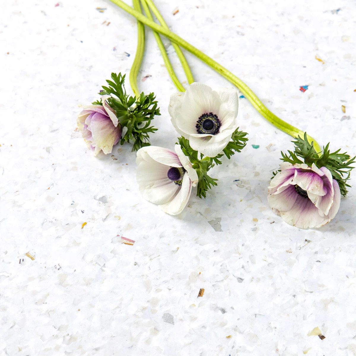 NEW MODERN Recycled Plastic Esstisch – Bild 6